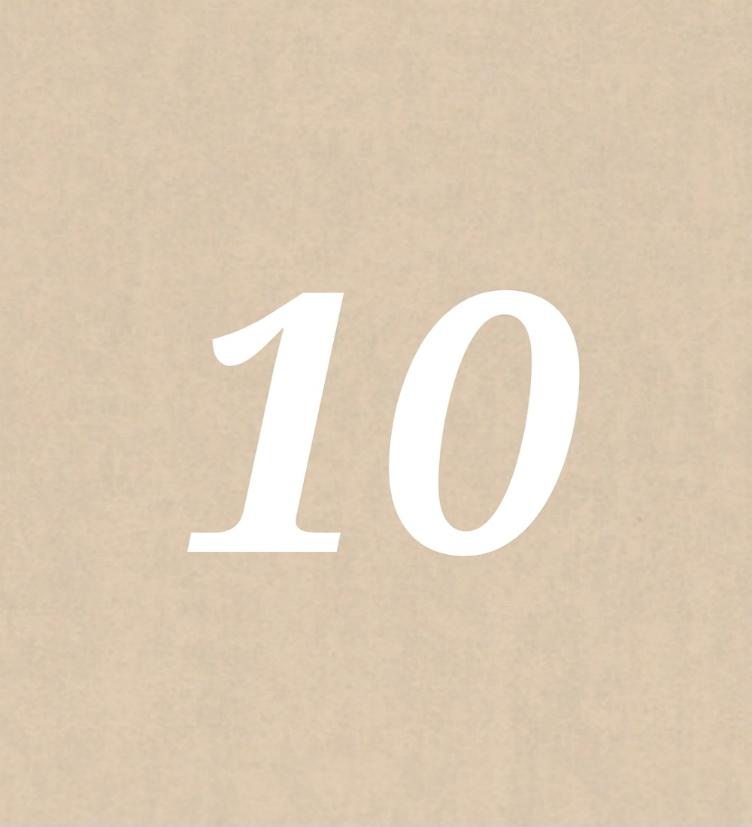 Nr 10