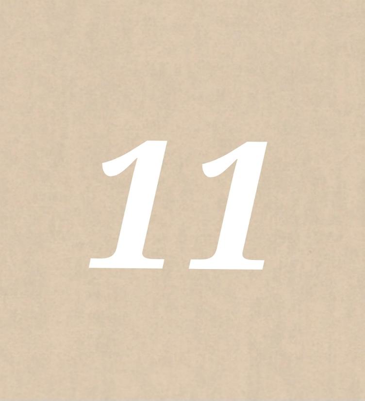 Nr 11