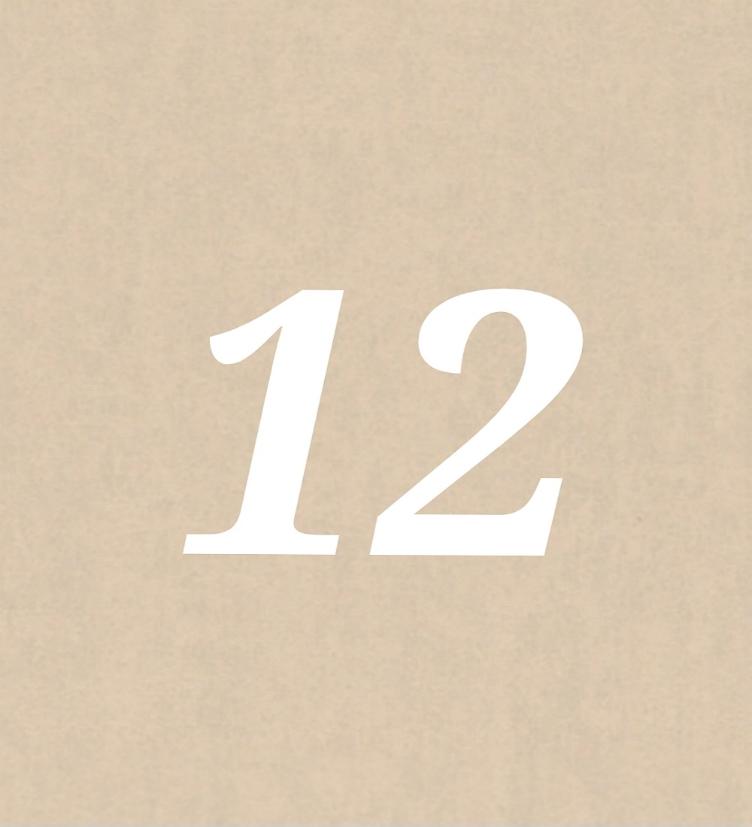 Nr 12