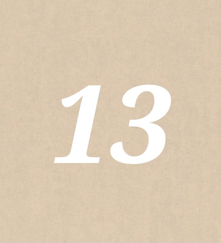 Nr 13