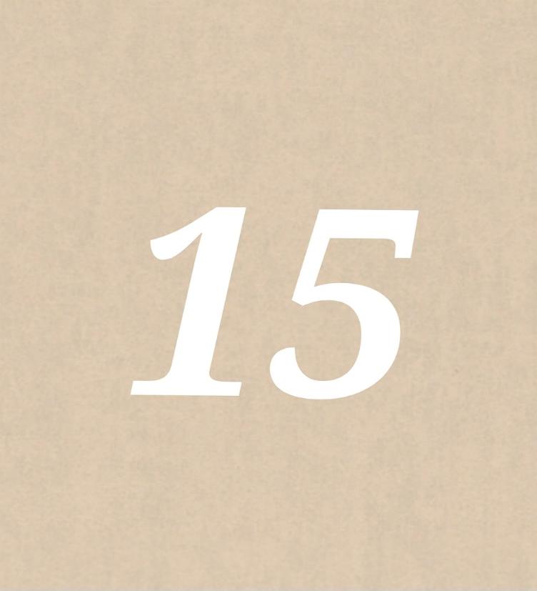 Nr 15