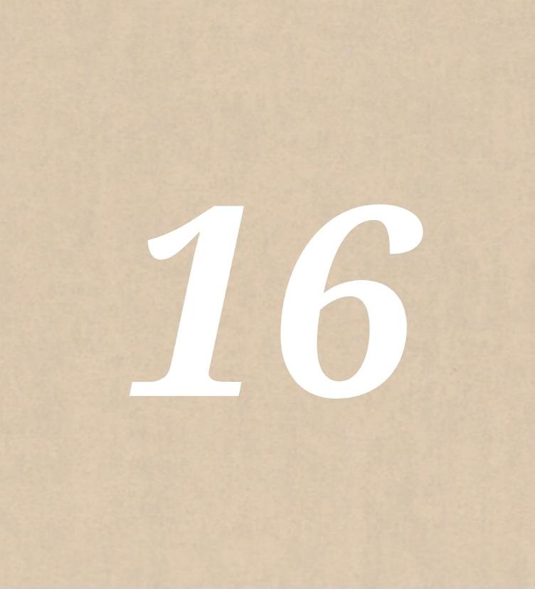 Nr 16