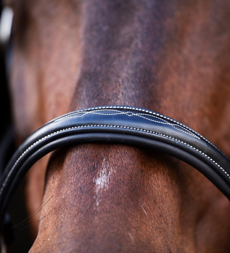 HV Polo Halfter HVPLegacy - 3