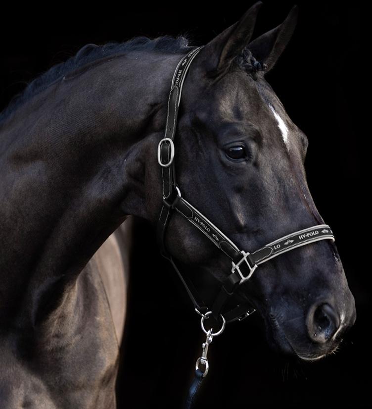 HV Polo Halfter HVPIconic - 2