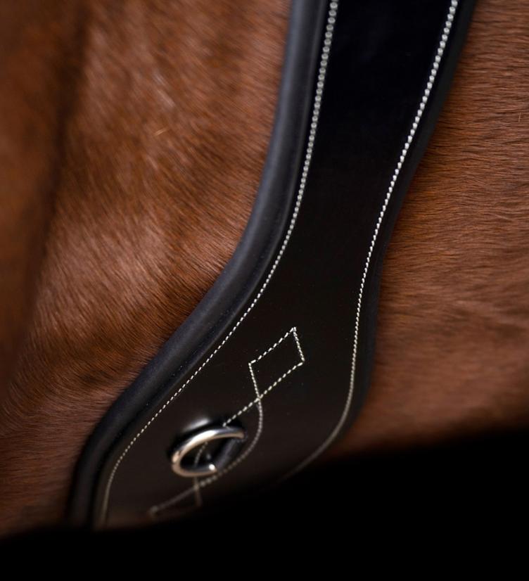 HV Polo Dressurgurt HVPLegacy - 2