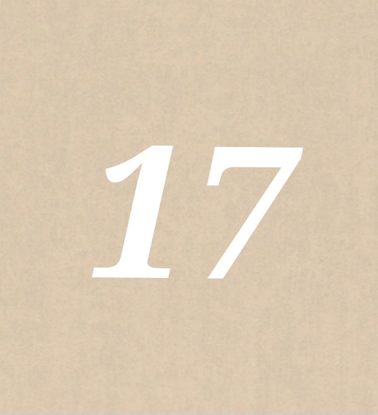 Nr 17