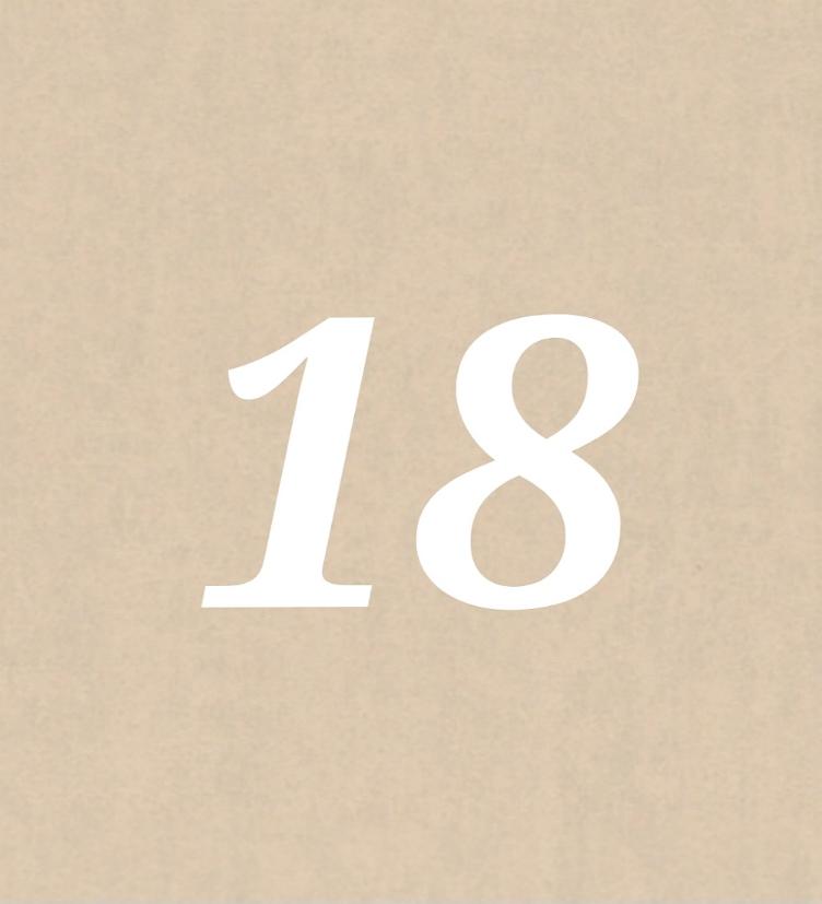 Nr 18
