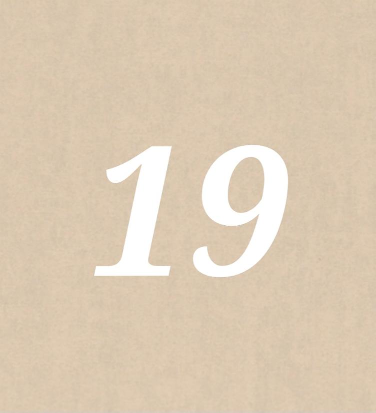 Nr 19