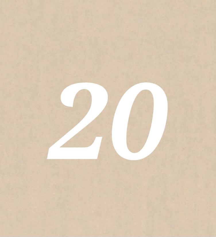 Nr 20