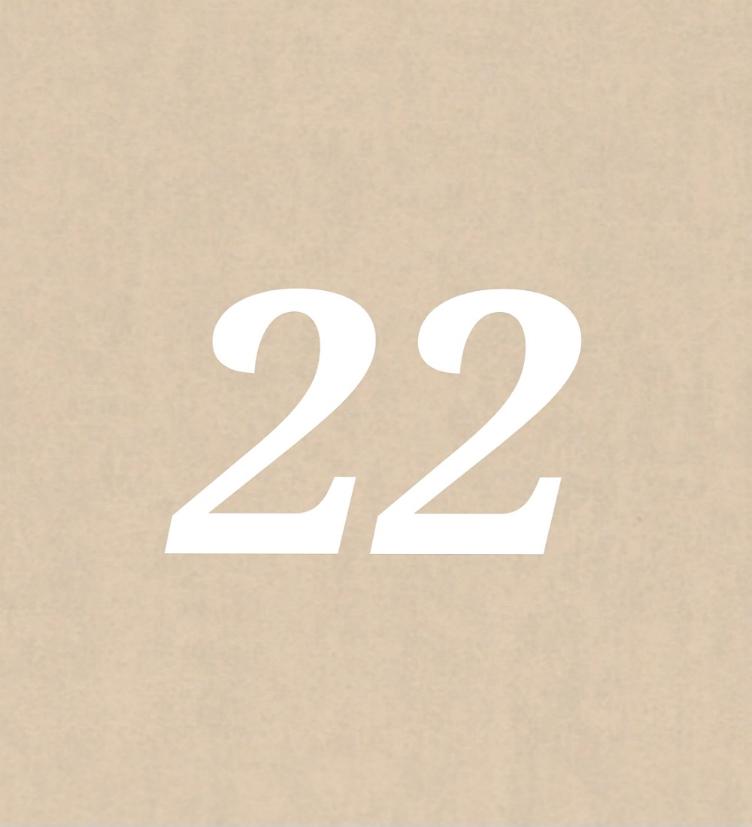 Nr 22