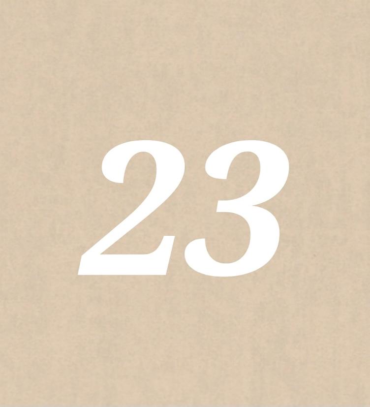 Nr 23