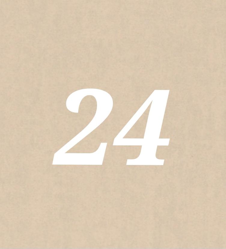 Nr 24