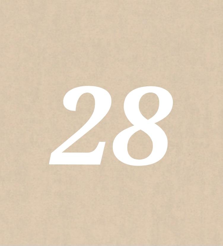 Nr 28
