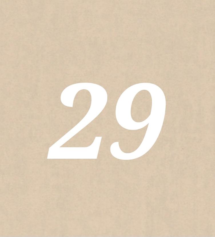 Nr 29