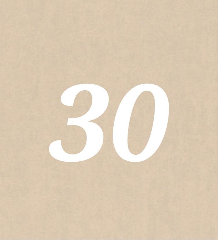 Nr 30