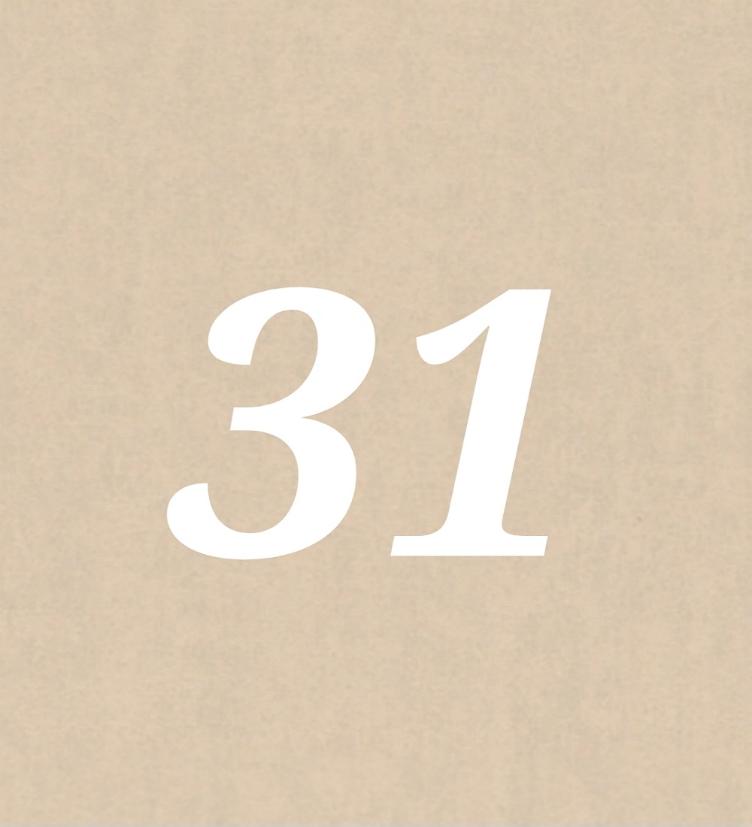 Nr 31