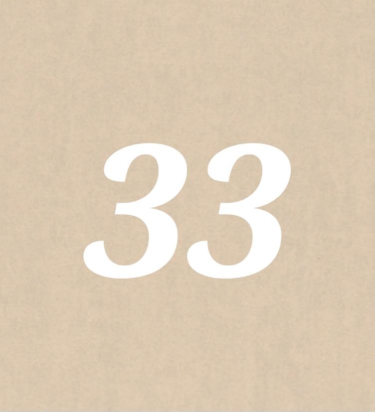 Nr 33