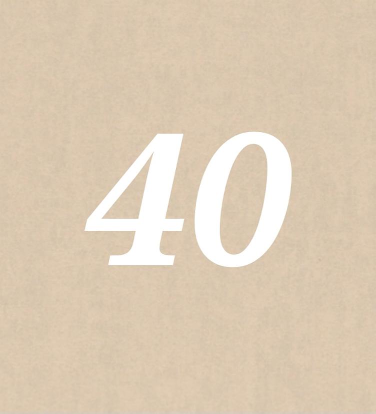 Nr 40
