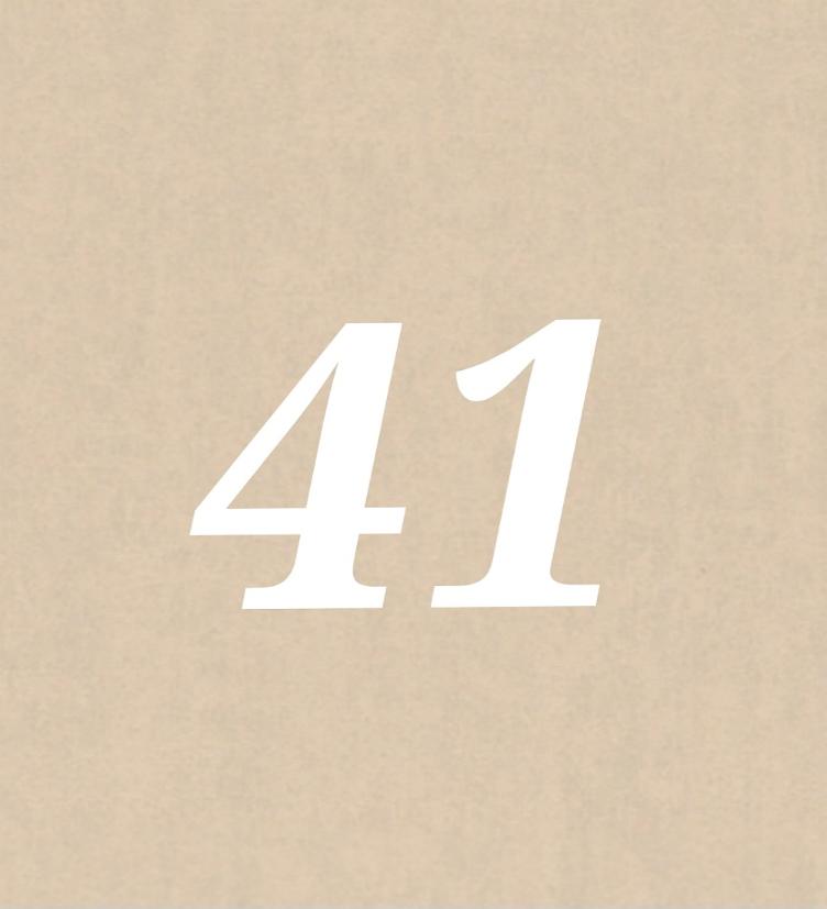 Nr 41