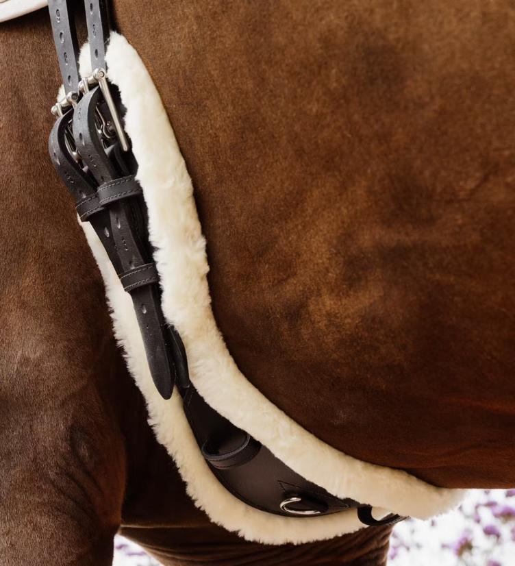 Kurzgurt Lamfell Anatomisch - 0