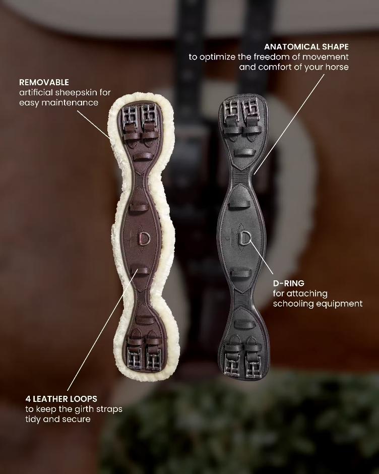 Kurzgurt Anatomisch - 1