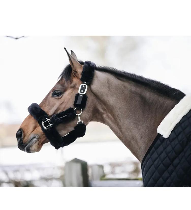 Kentucky Lamfell Transport Halfter