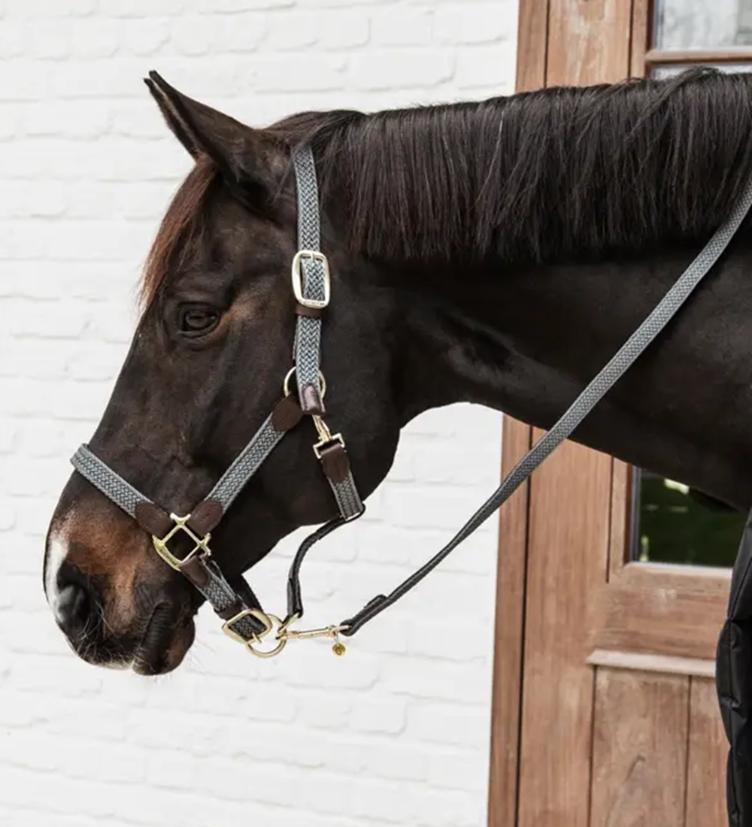 Kentucky Halfter Plaited Nylon