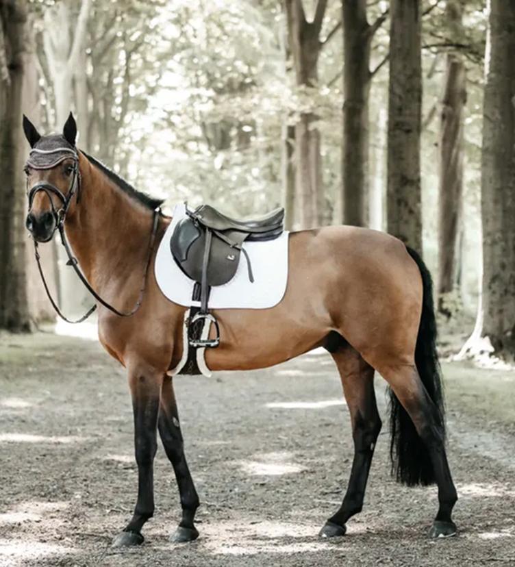 Kentucky Schabracke Fishbone Jumping - 4