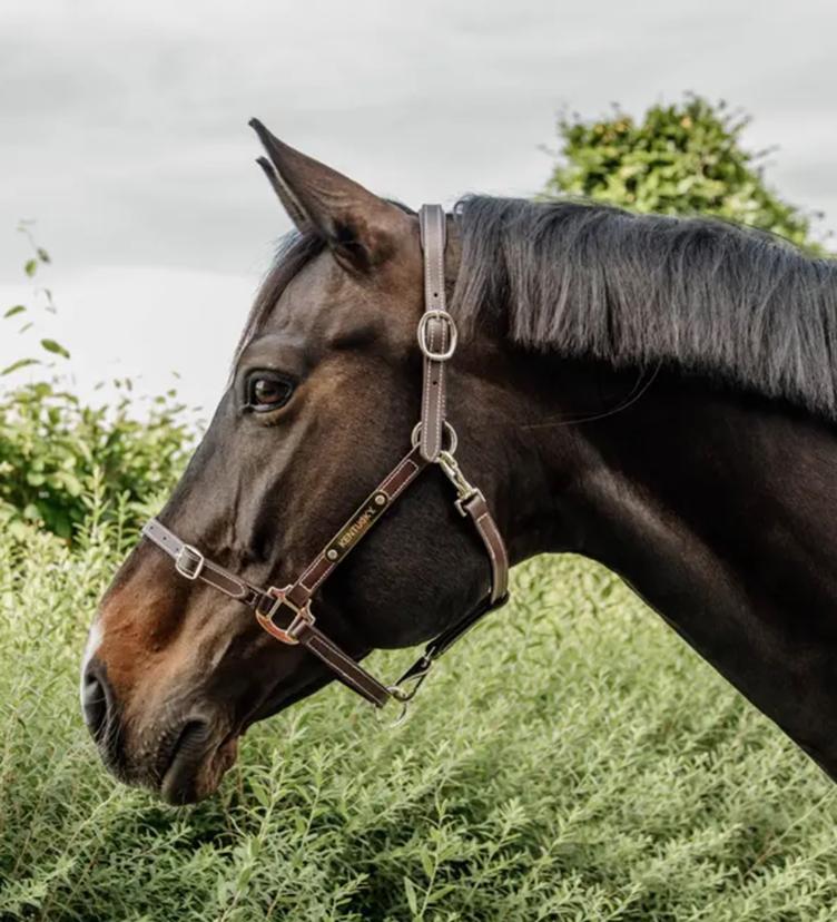 Kentucky Leder Halfter Flexibel
