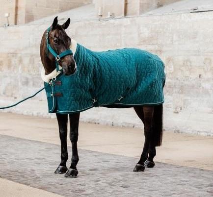 Show Rug Velvet