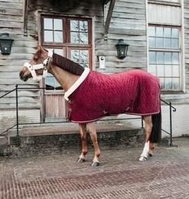 Show Rug Velvet