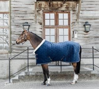Show Rug Velvet