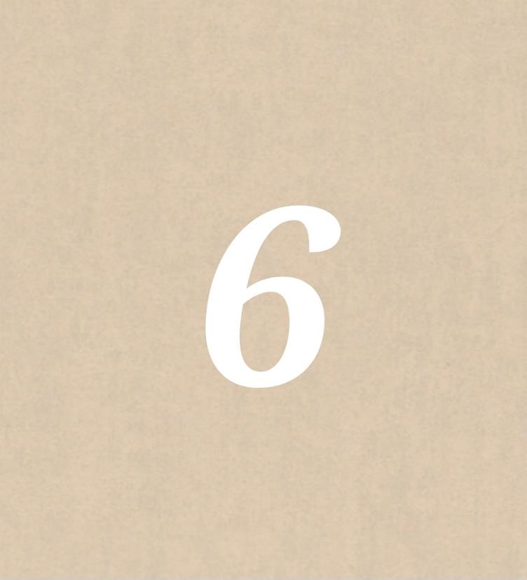 Nr 6