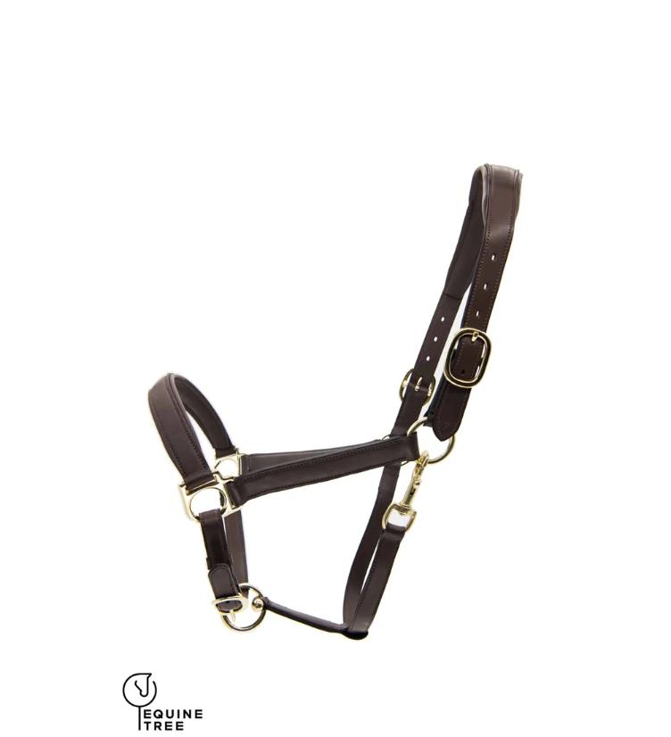 L`Evoine X Equinetree Halfter mit Alpaka Vlies - 1