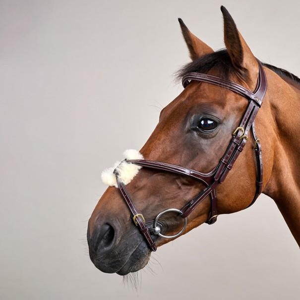 Kentucky Zaumzeug DY braun / schwarz