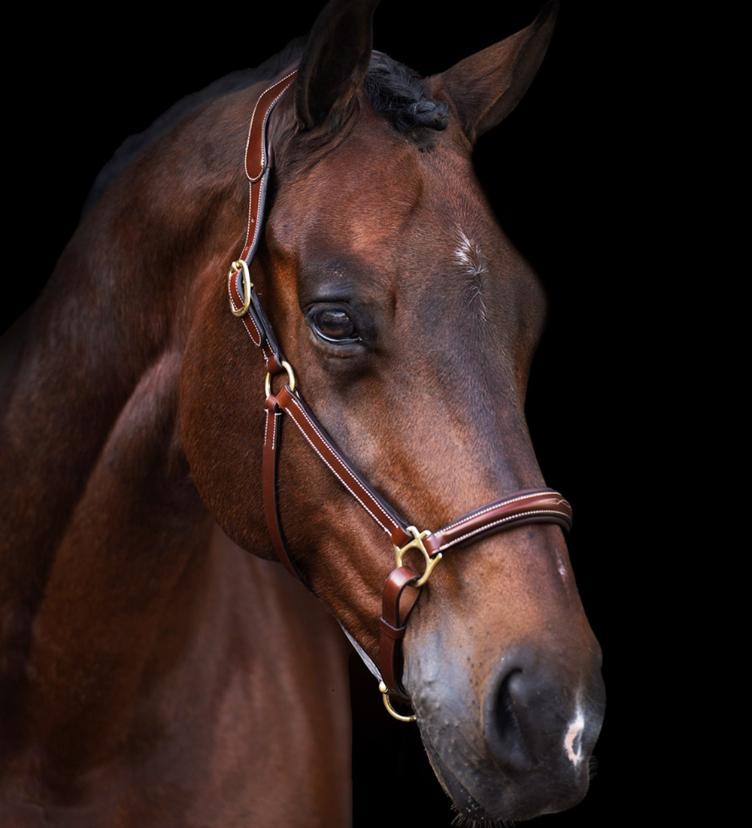 HV Polo Halfter HVPLegacy - 2