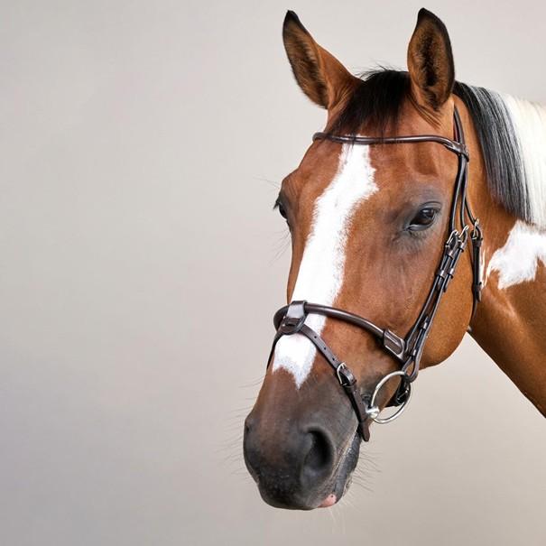 Kentucky Rundzaum WO braun / schwarz